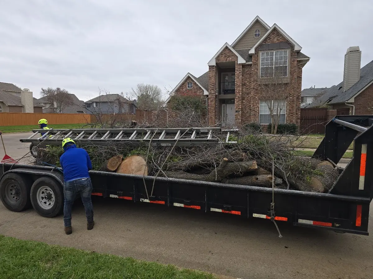 Expert Tree Fertilization with proper safety equipment in Le Roy